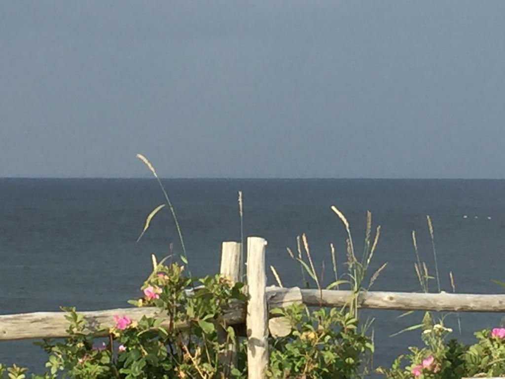 Les Cabines Sur Mer Cap-des-Rosiers Εξωτερικό φωτογραφία